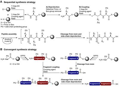 Frontiers | Recent Progress in the Chemical Synthesis of Class II